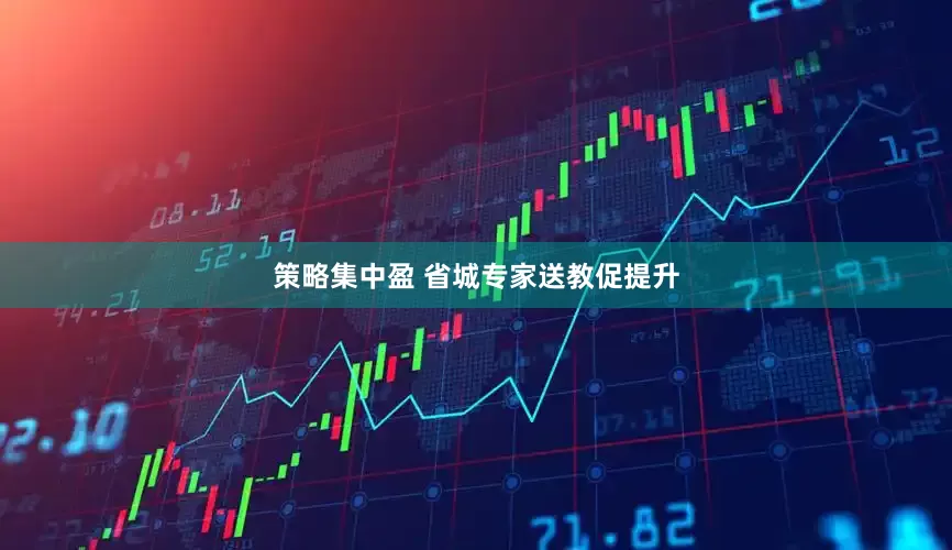 策略集中盈 省城专家送教促提升